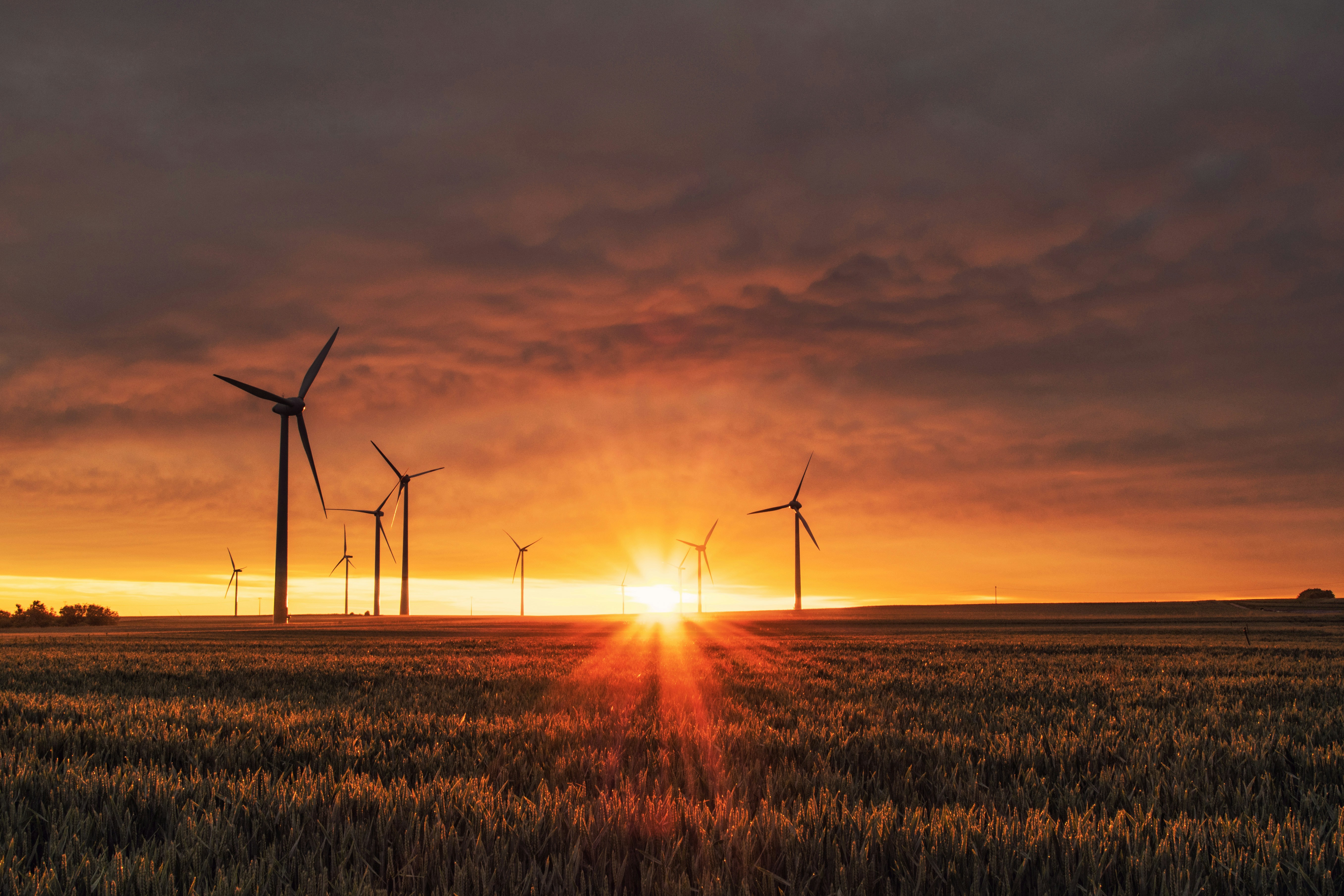 Energy Insurance
